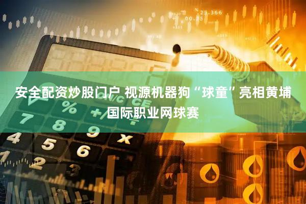 安全配资炒股门户 视源机器狗“球童”亮相黄埔国际职业网球赛